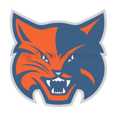 Charlotte Bobcats T-shirts Iron On Transfers N930 - Click Image to Close